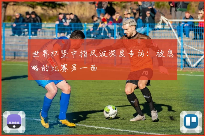 世界杯竖中指风波深度专访：被忽略的比赛另一面