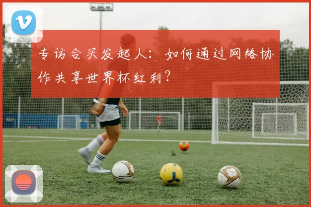 专访合买发起人:如何通过网络协作共享世界杯红利?