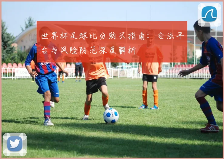 世界杯足球比分购买指南:合法平台与风险防范深度解析